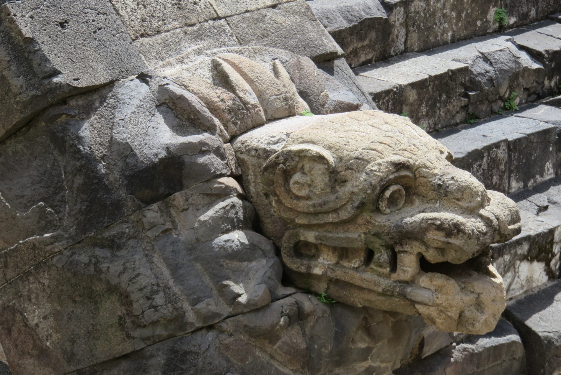 Cabeza tallada en la pirámide de la Serpiente Emplumada